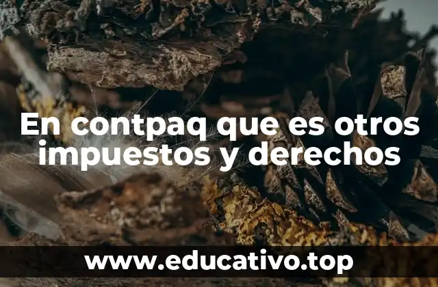 En contpaq que es otros impuestos y derechos