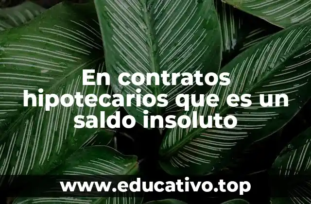 En contratos hipotecarios que es un saldo insoluto
