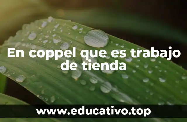 En coppel que es trabajo de tienda