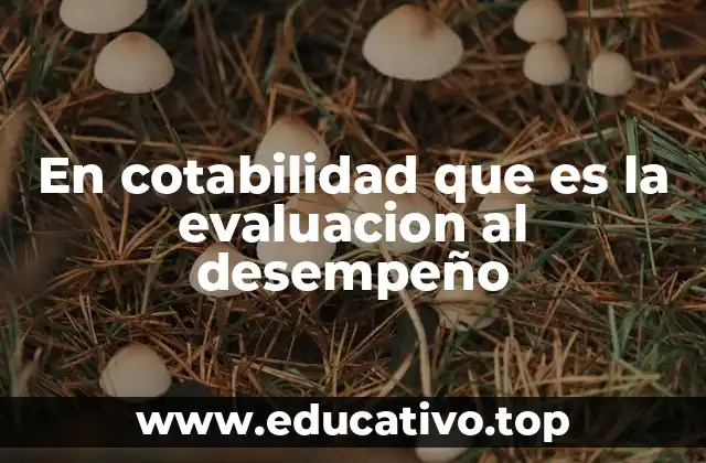 En cotabilidad que es la evaluacion al desempeño