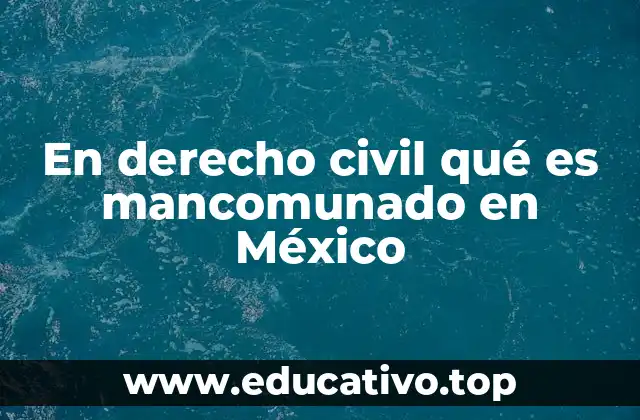 En derecho civil qué es mancomunado en México