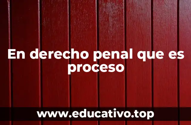 En derecho penal que es proceso