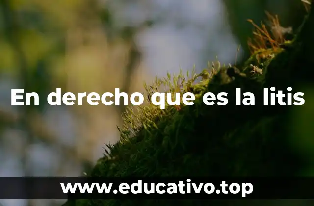 En derecho que es la litis