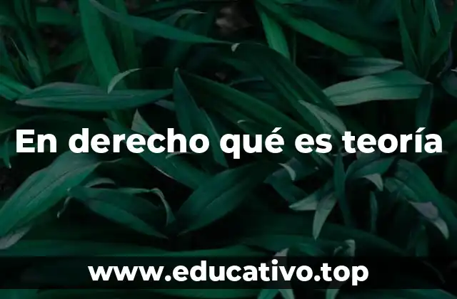 En derecho qué es teoría