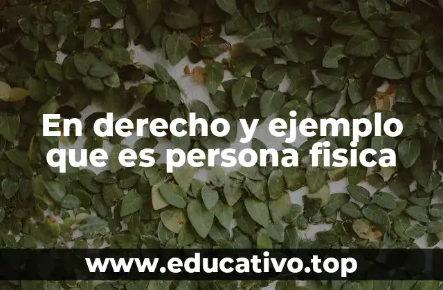 La importancia de la distinción entre persona física y jurídica en el derecho