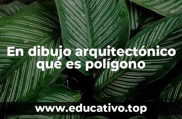 En dibujo arquitectónico qué es polígono