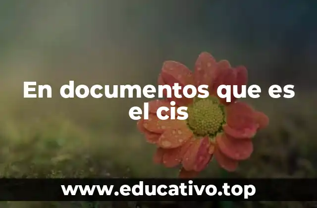 En documentos que es el cis