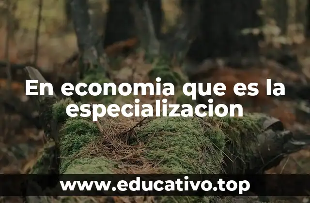 En economia que es la especializacion