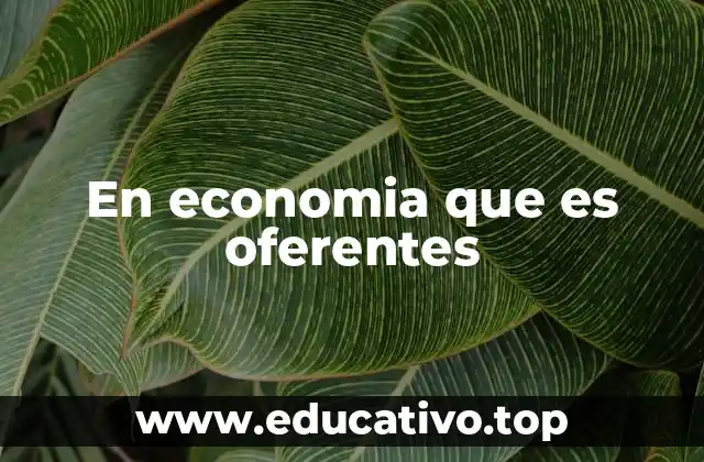 En economia que es oferentes