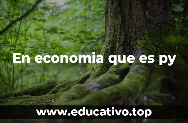 En economia que es py