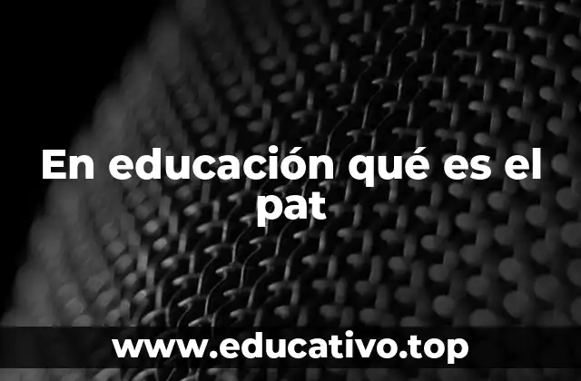 En educación qué es el pat