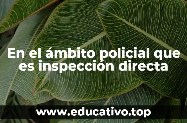 En el ámbito policial que es inspección directa