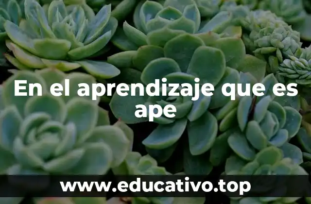 En el aprendizaje que es ape