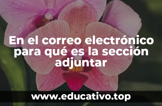En el correo electrónico para qué es la sección adjuntar