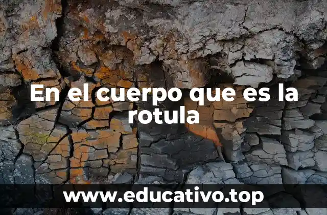 En el cuerpo que es la rotula