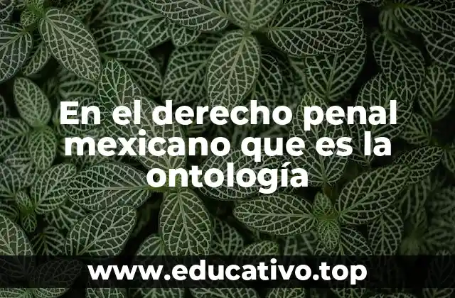 En el derecho penal mexicano que es la ontología