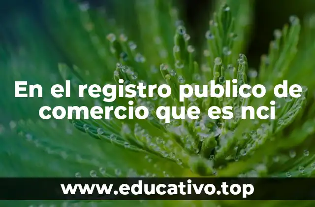 En el registro publico de comercio que es nci