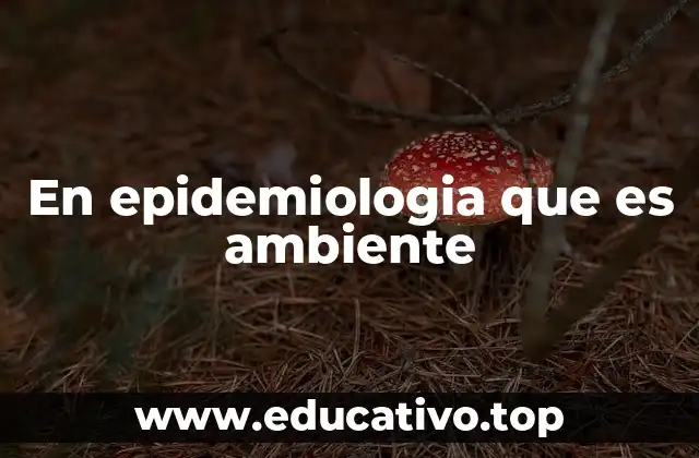 En epidemiologia que es ambiente