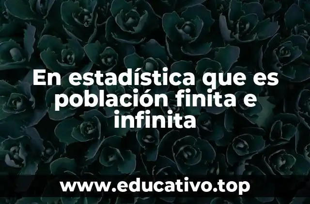 En estadística que es población finita e infinita