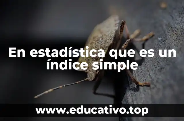 En estadística que es un índice simple