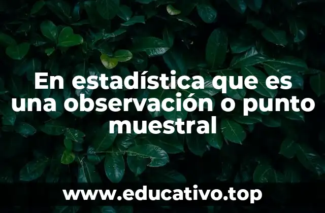 En estadística que es una observación o punto muestral