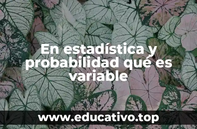 En estadística y probabilidad qué es variable