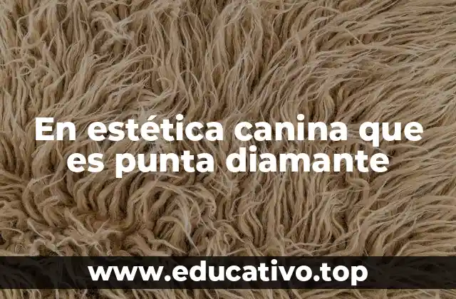 En estética canina que es punta diamante