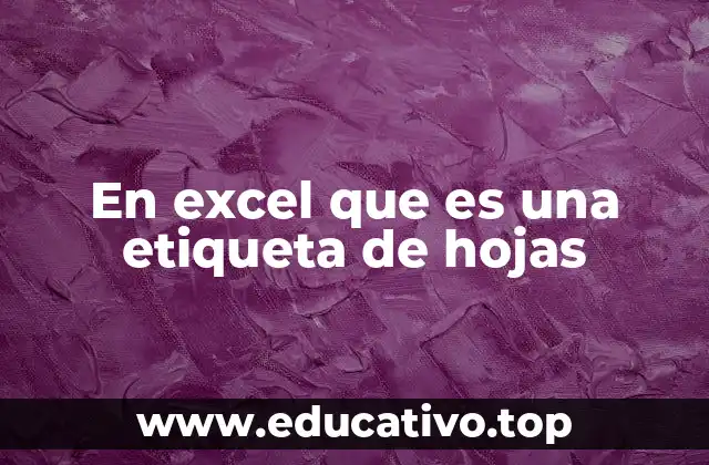 En excel que es una etiqueta de hojas