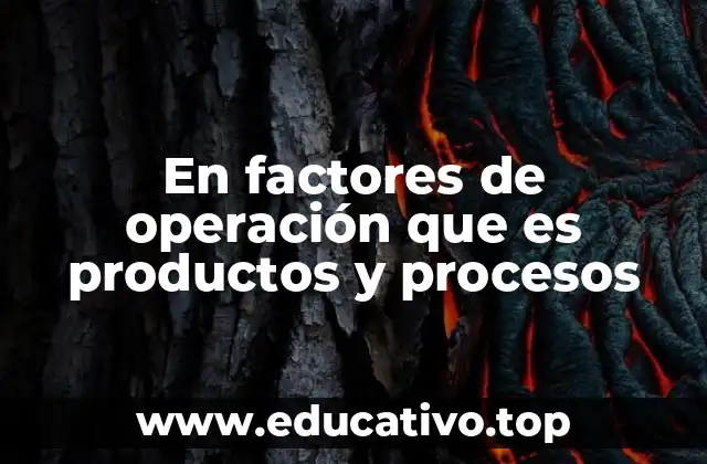 En factores de operación que es productos y procesos