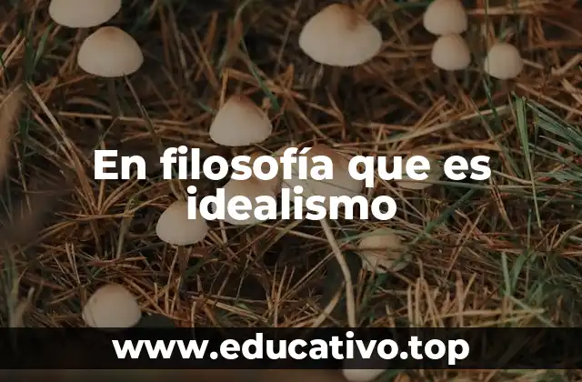 En filosofía que es idealismo