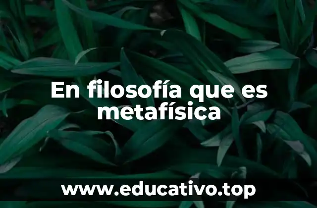 En filosofía que es metafísica