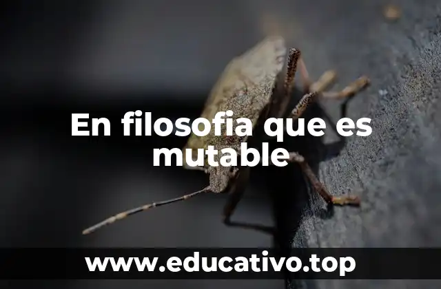 En filosofia que es mutable