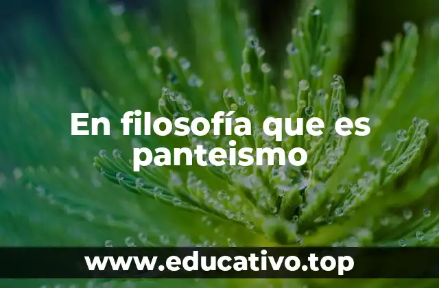 En filosofía que es panteismo