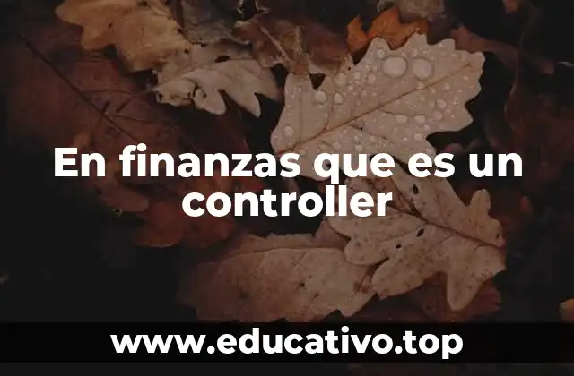 En finanzas que es un controller