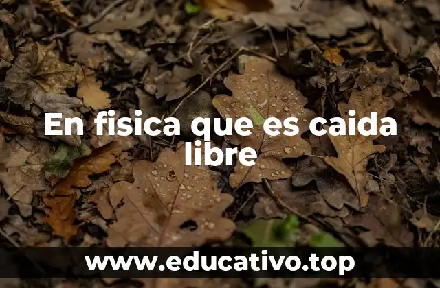 En fisica que es caida libre