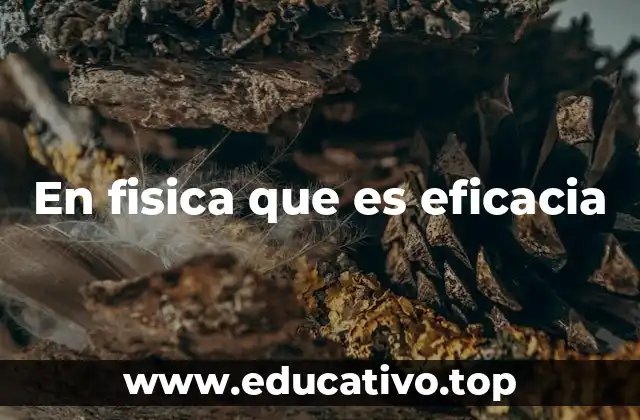 En fisica que es eficacia