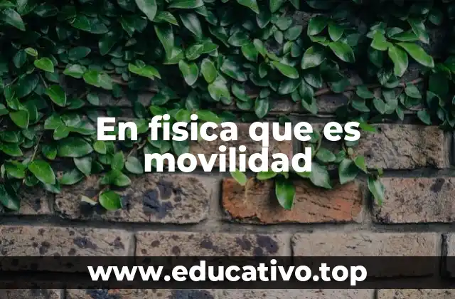 La importancia de la movilidad en la conducción eléctrica