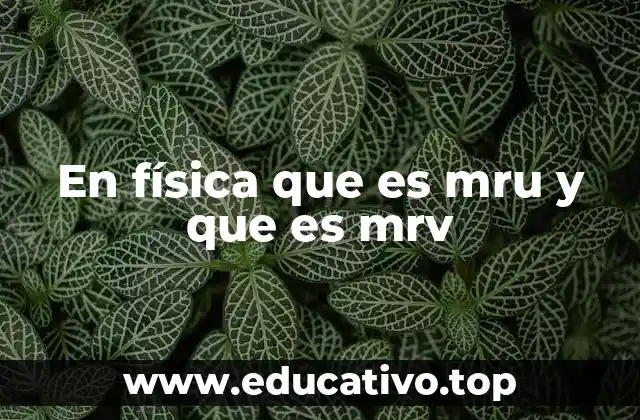 En física que es mru y que es mrv
