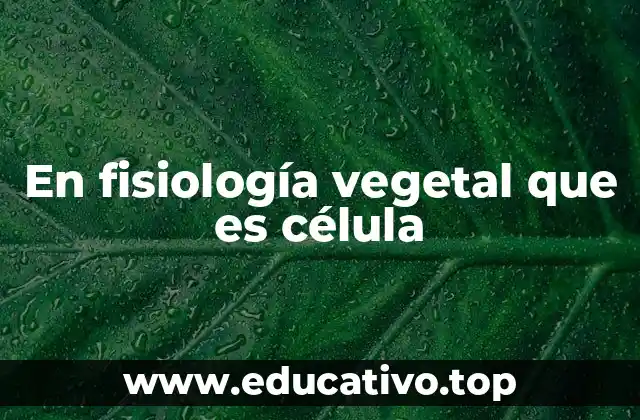 En fisiología vegetal que es célula
