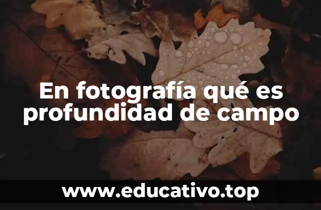 En fotografía qué es profundidad de campo