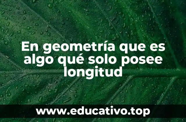 En geometría que es algo qué solo posee longitud