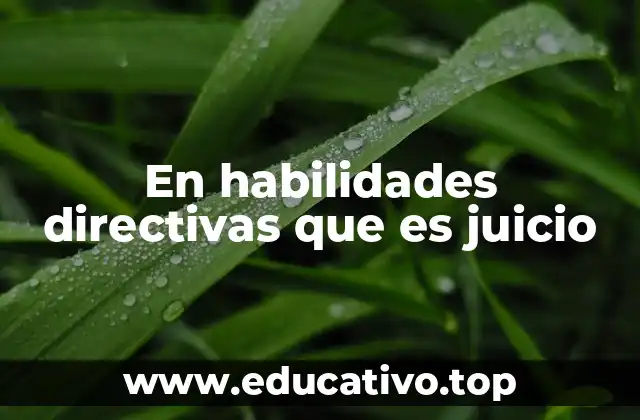 En habilidades directivas que es juicio