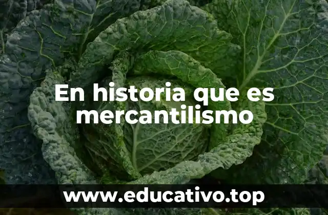 En historia que es mercantilismo