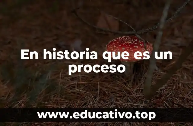 En historia que es un proceso