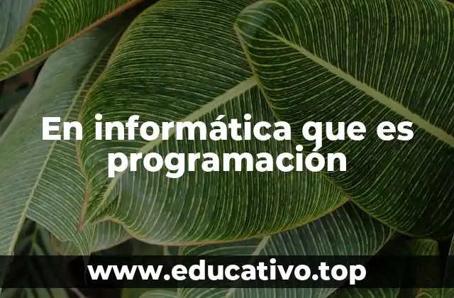 En informática que es programación