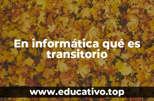 En informática qué es transitorio