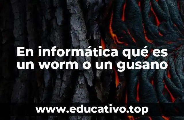 En informática qué es un worm o un gusano