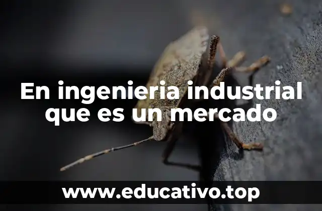 En ingenieria industrial que es un mercado