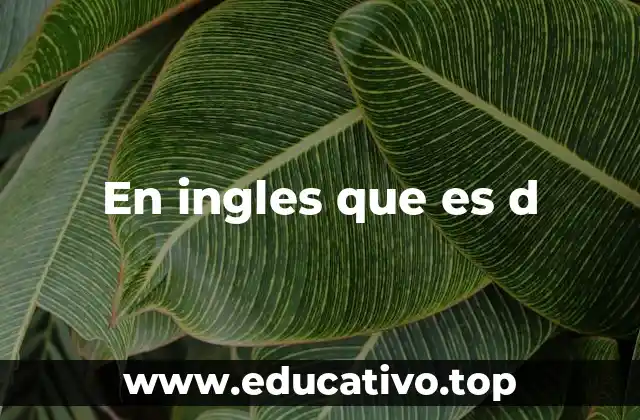 El uso de la letra D en el inglés