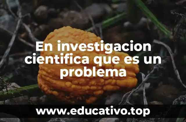En investigacion cientifica que es un problema